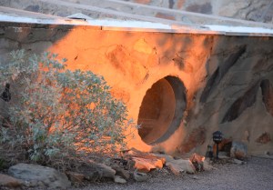 Taliesin West