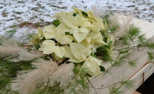 Montooth Celebration