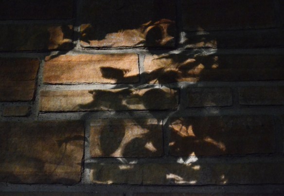 Seth Peterson Cottage 056.jpg