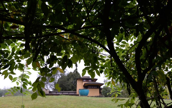 Taliesin 10.6.17 003.jpg