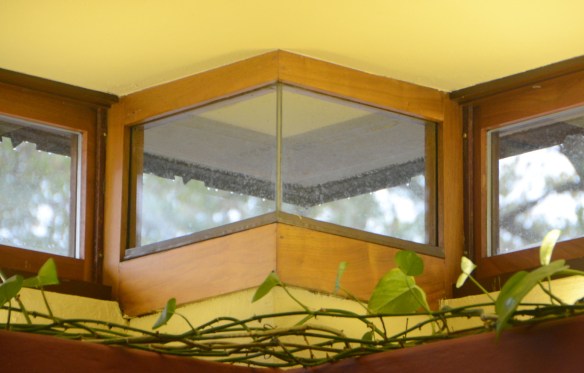 LR Cedar Rock 10.14.17 037.jpg