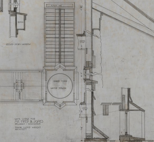 LR Avery_FLW_4207_003.jpg
