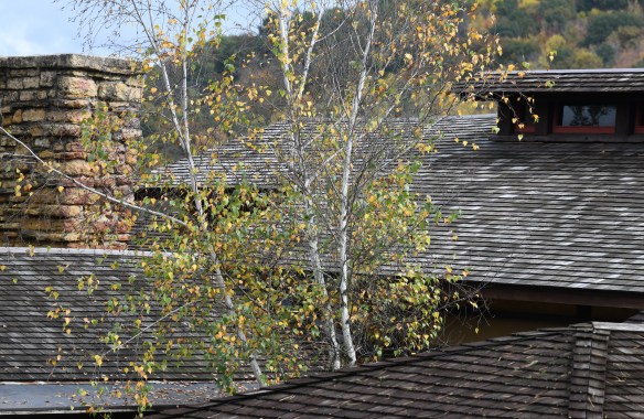 Taliesin fall 2.jpg