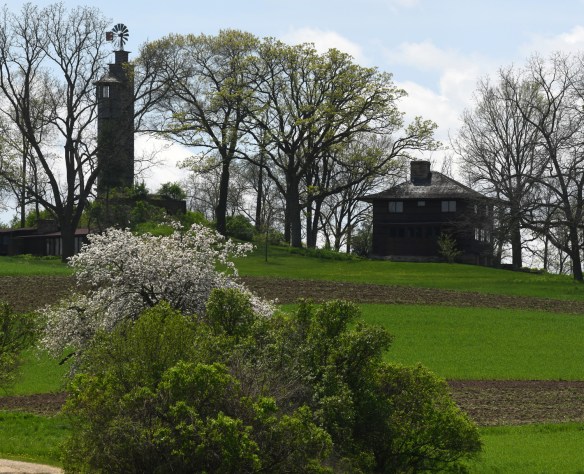 Taliesin Romeo and Juliet and Tanyderi 5.15.19.jpg