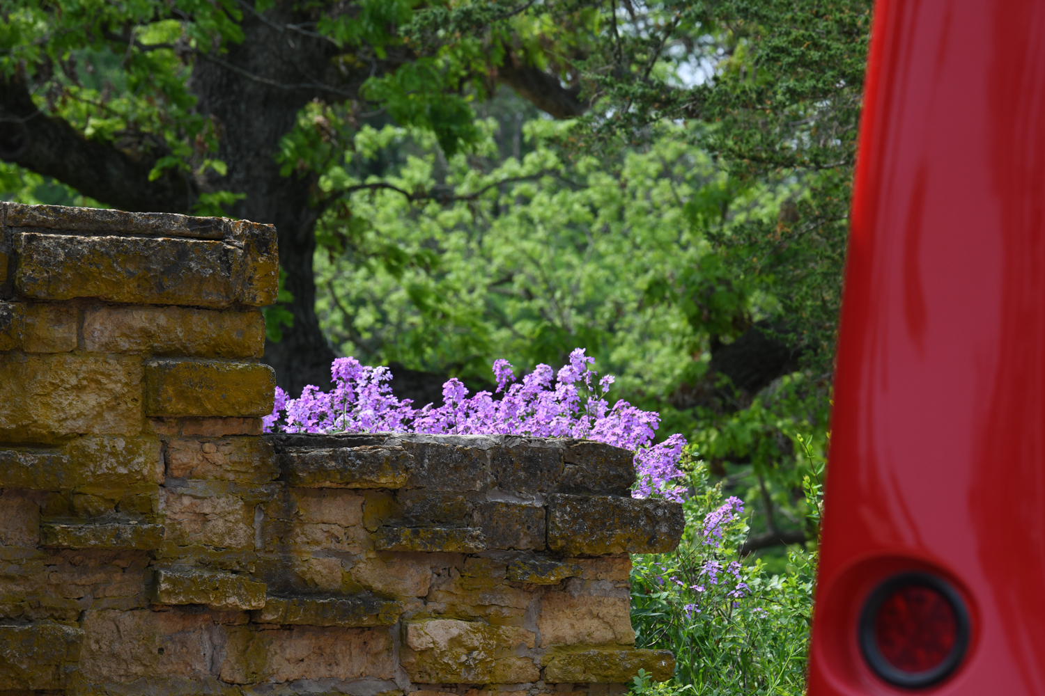 Taliesin 5.31.19 005.jpg