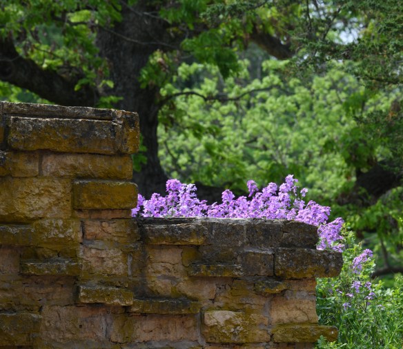Taliesin 5.31.19 006.jpg