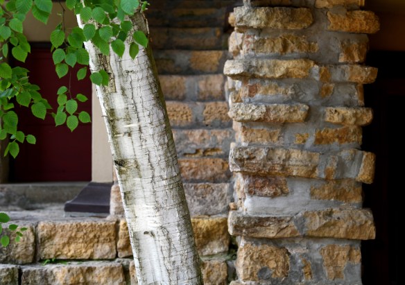 Taliesin 5.31.19 007.jpg