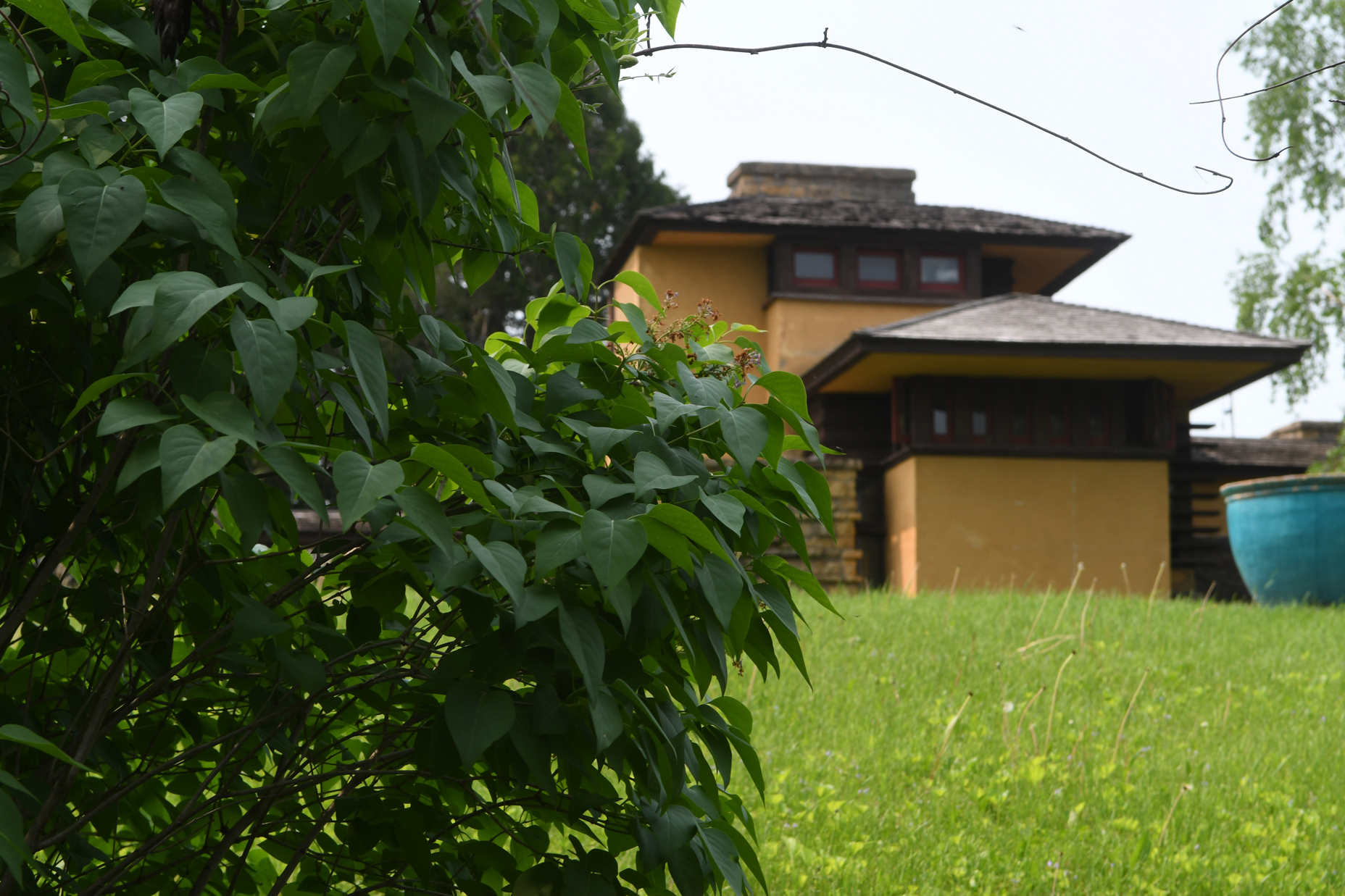 Taliesin 5.31.19 018.jpg