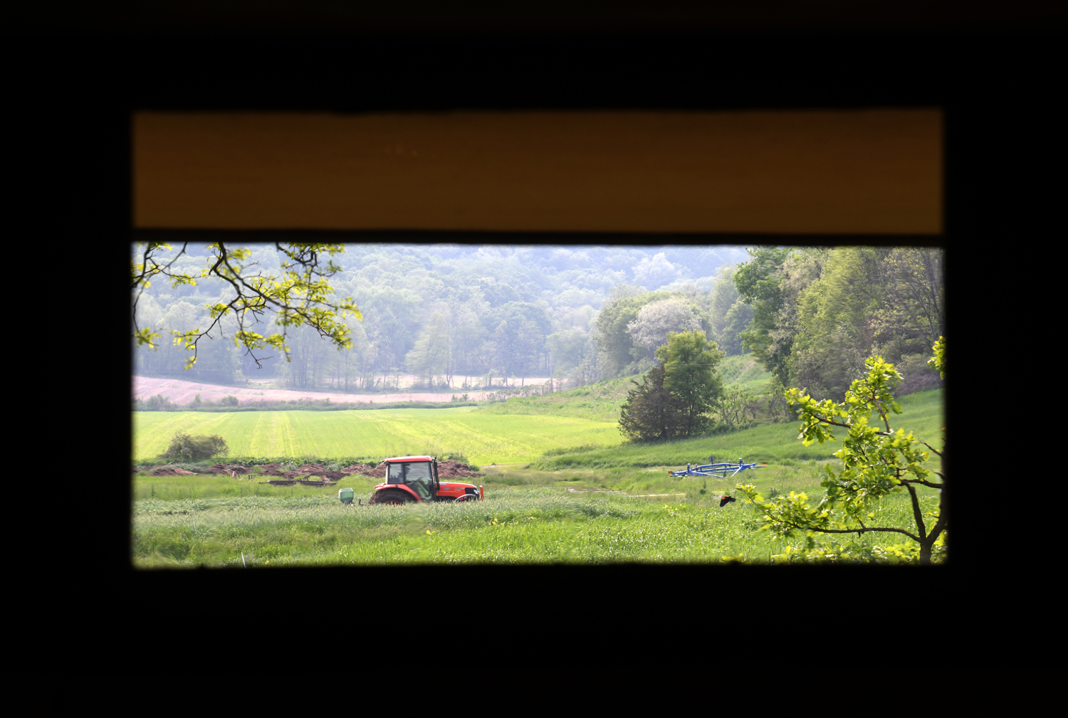 Taliesin 5.31.19 019.jpg