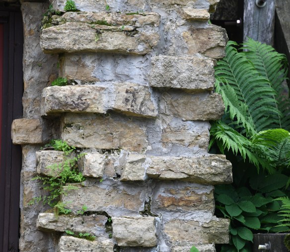 Taliesin 6.8.19 008.jpg