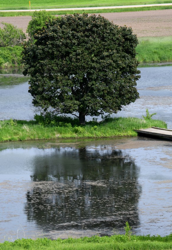 Taliesin 6.8.19 010.jpg