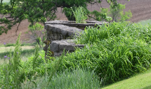 Taliesin 6.8.19 011.jpg