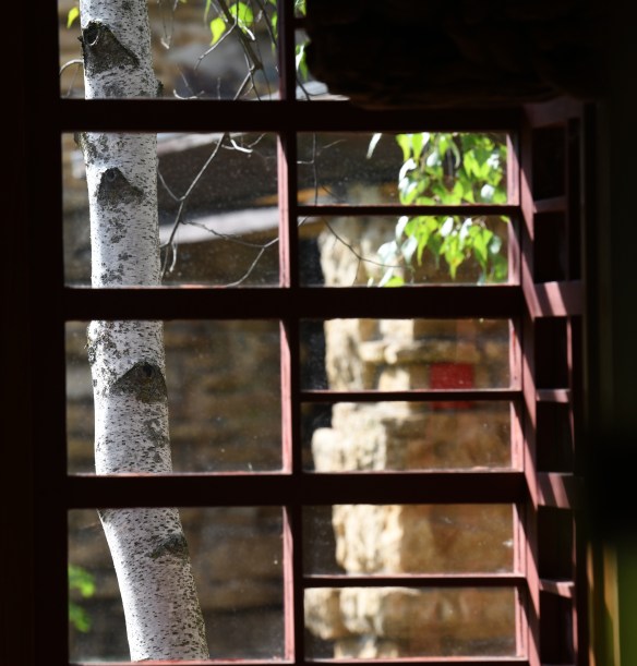 Taliesin 6.8.19 031.jpg