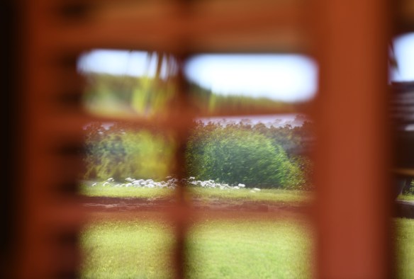 Taliesin 6.8.19 034.jpg