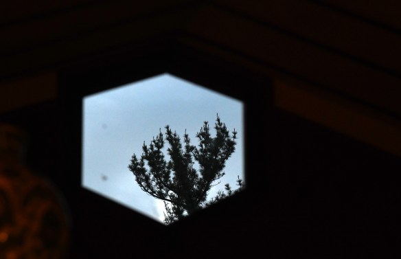 Taliesin 6.8.19 037.jpg