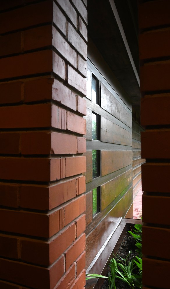 Jacobs 1 6.28.19 005.jpg