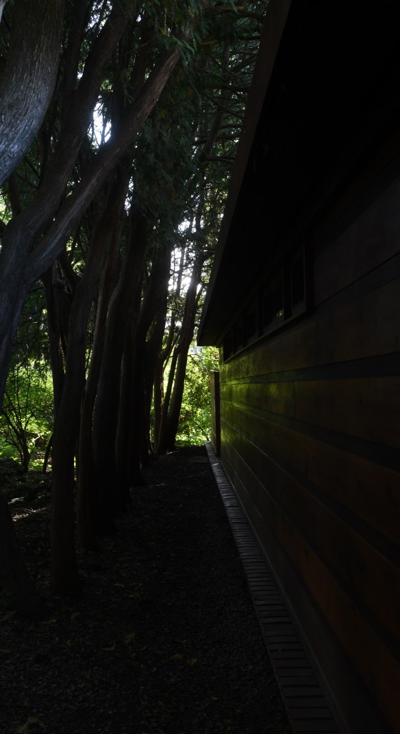 LR Jacobs 1 9.18.19 005.jpg