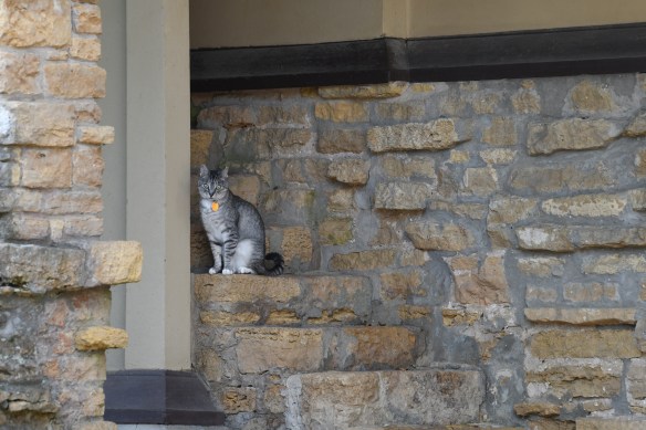 Talesin 9.18.19 006.jpg