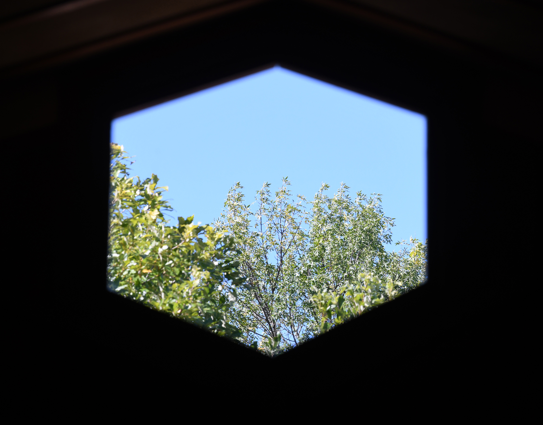 Taliesin 002.JPG