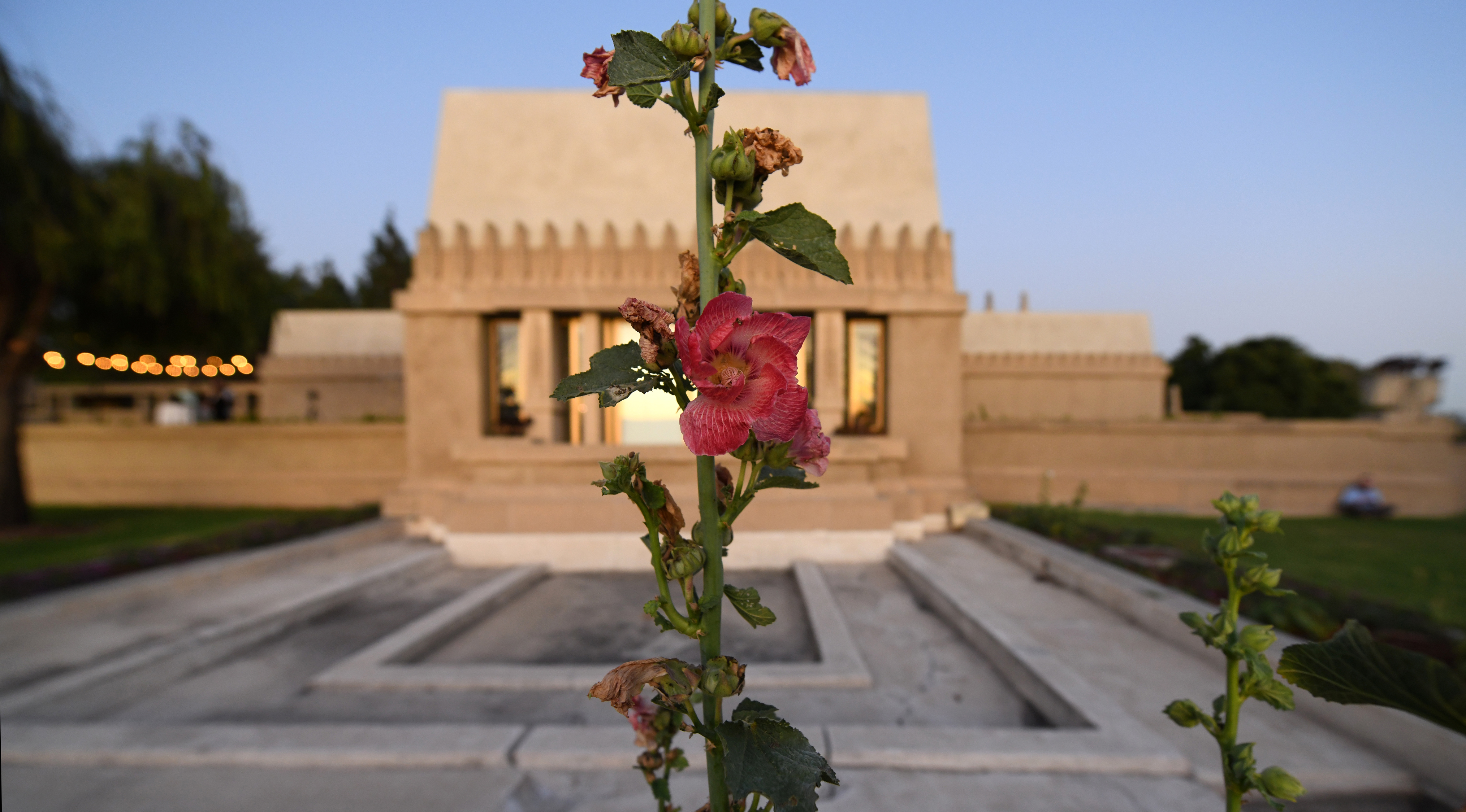 DSC_4850.jpg