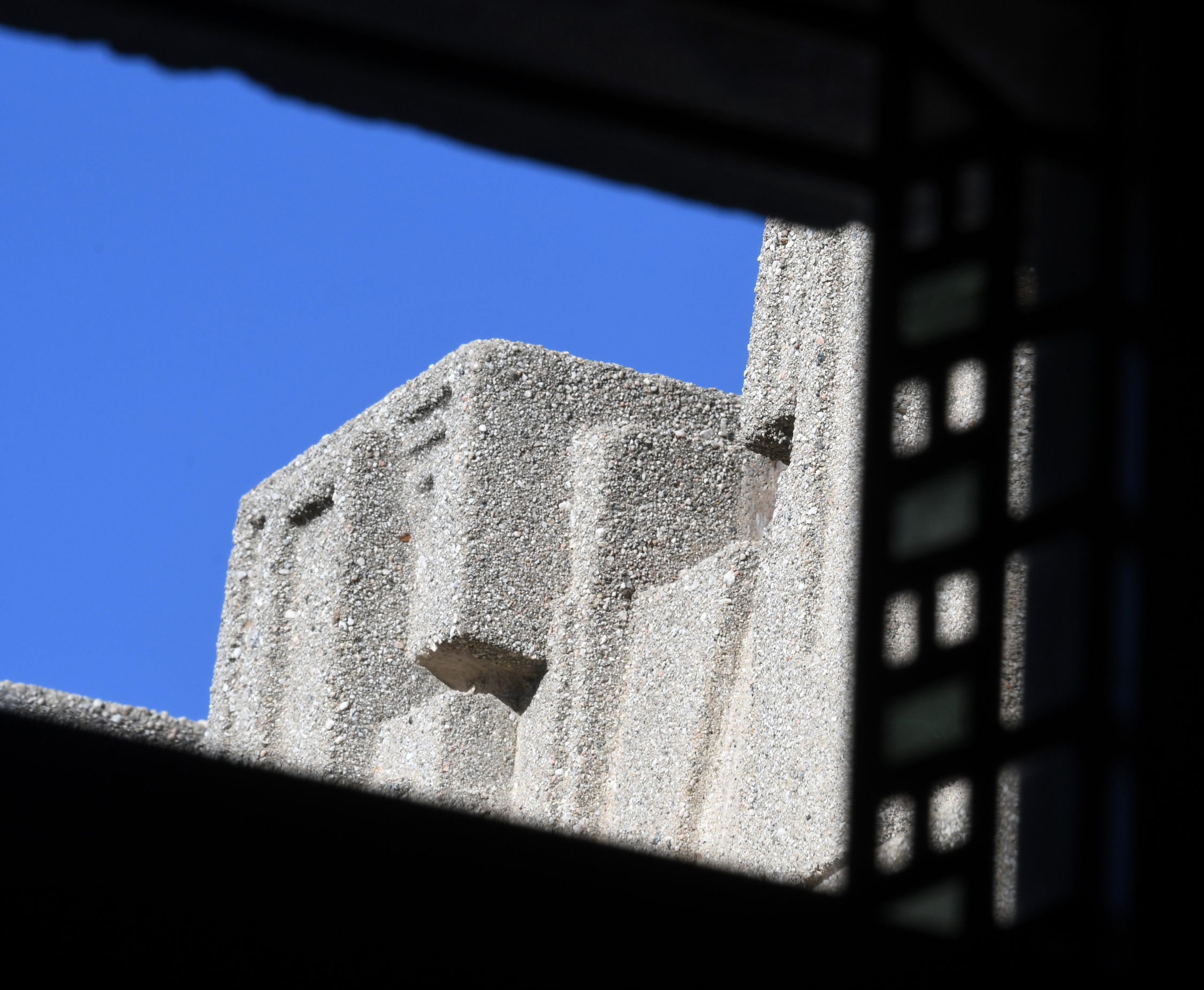 DSC_5192.jpg