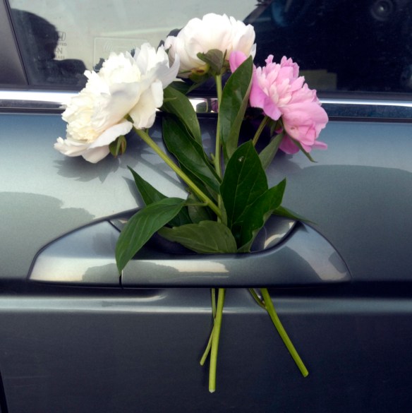 Mr. Wright's Birthday 2011 013.jpg