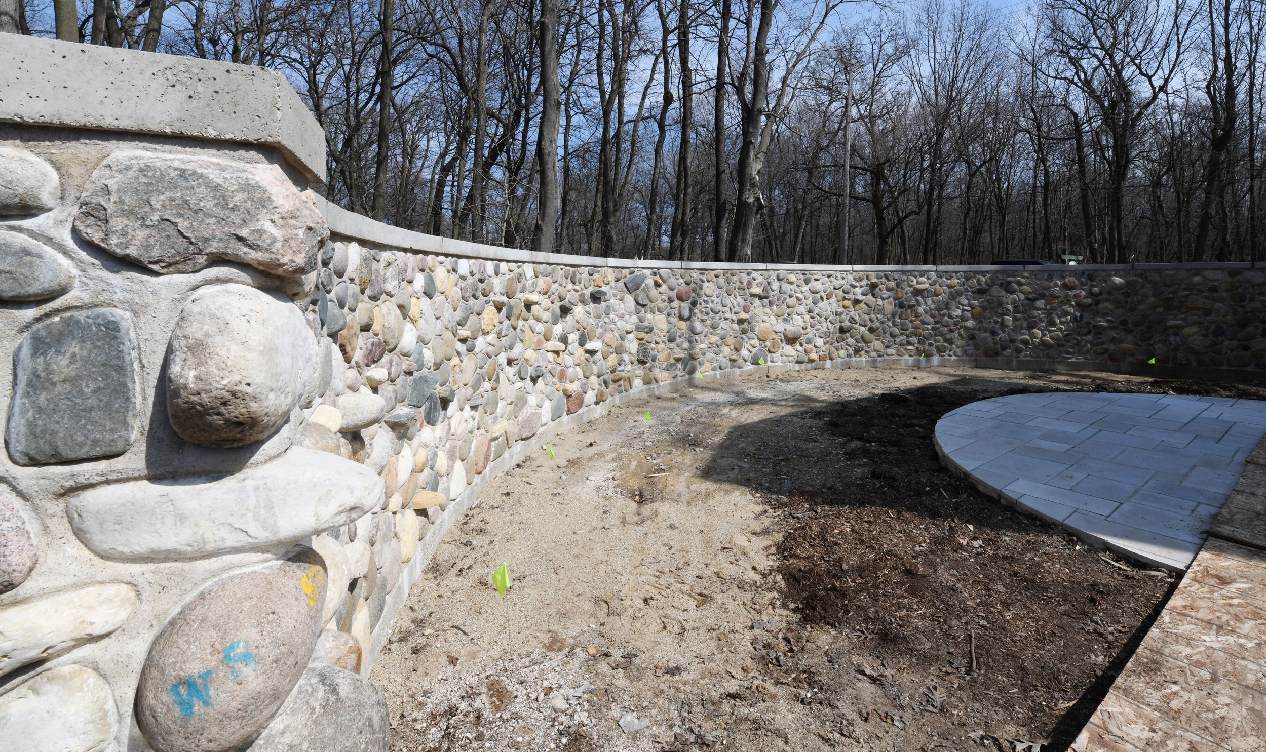 Penwern Greenhouse 4.2.20 035.jpg