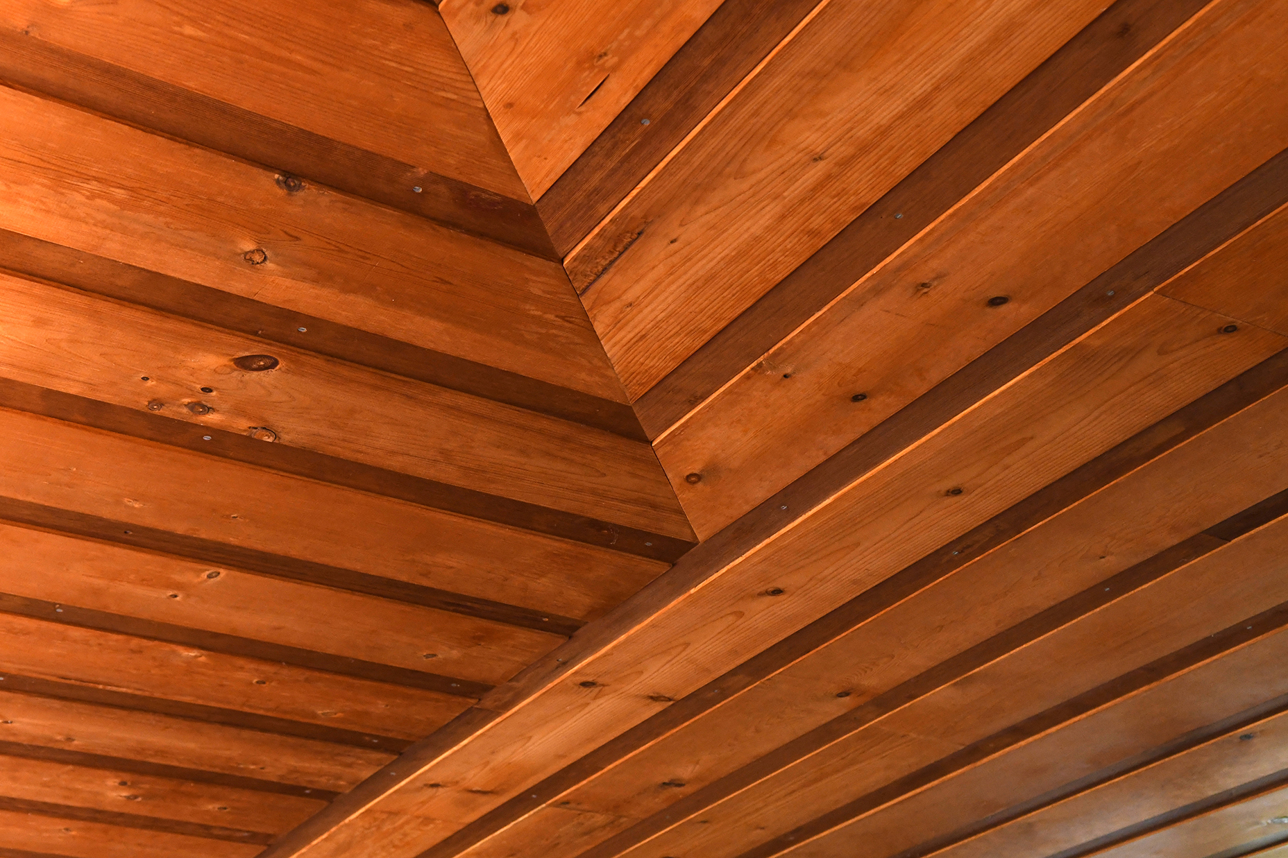 Jacobs 1 9.7.18 009.jpg