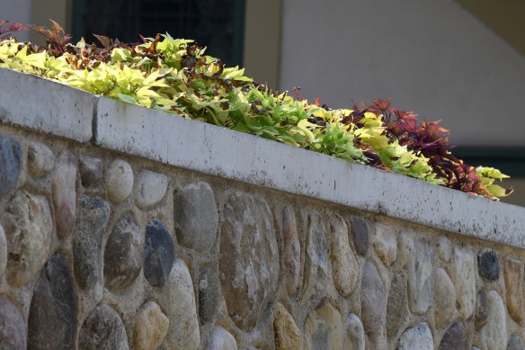 Greenhouse Rebuild 069.jpg