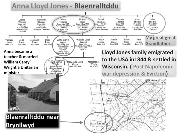 Meet the Evans Family-15.jpg