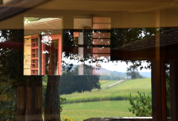 Talesin 9.18.19 003.jpg