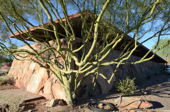 Taliesin West 001.jpg