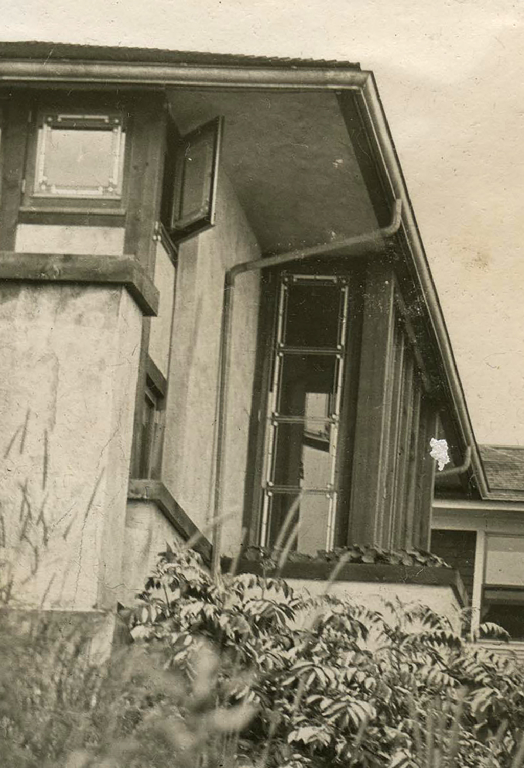 LR 1908 Hardy Side Crop.jpg