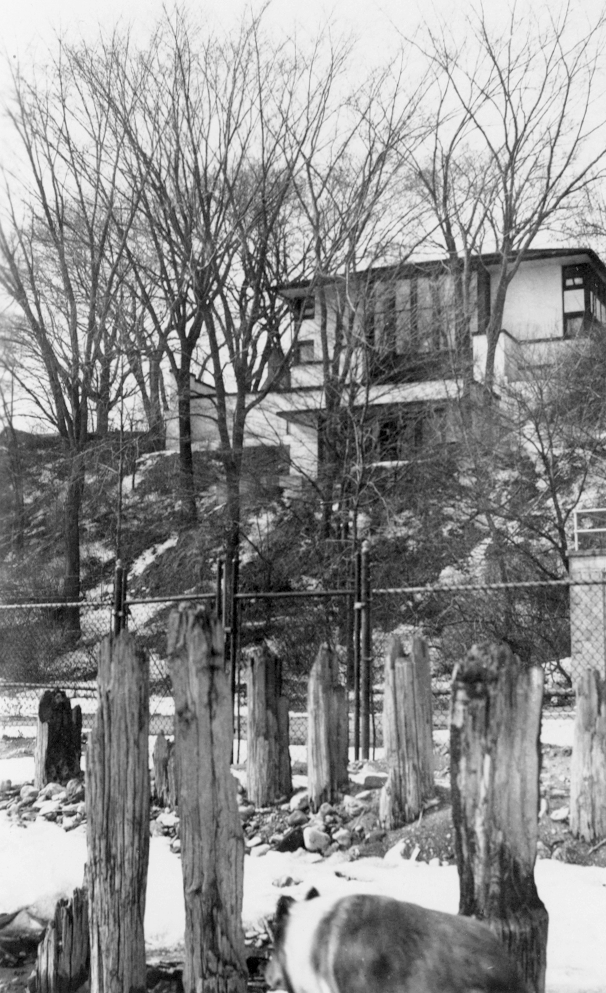 Archer 13 pilings.jpg