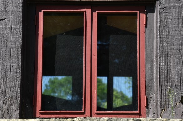 LR Hillside 8.29.21 009.jpg