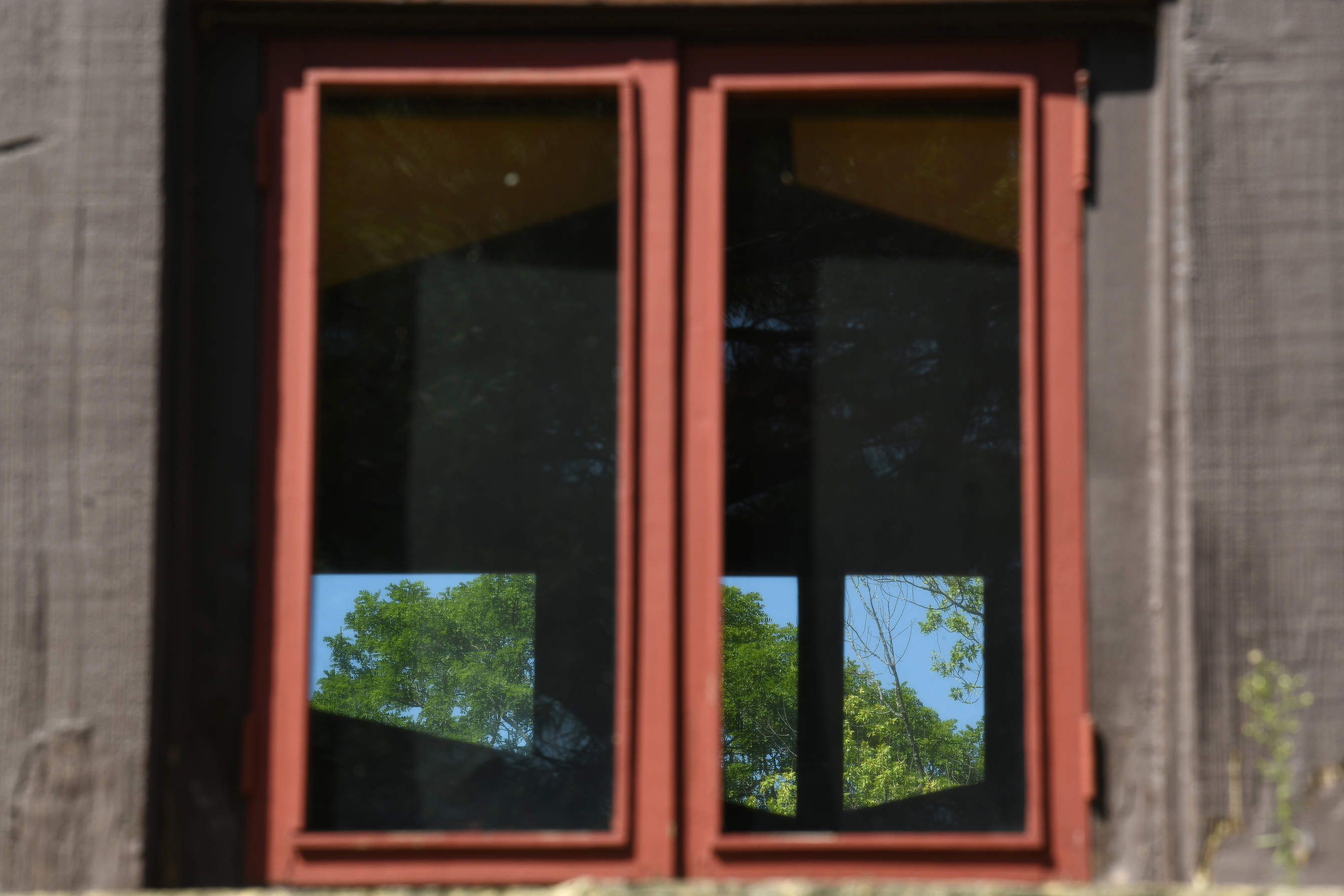 LR Hillside 8.29.21 010.jpg