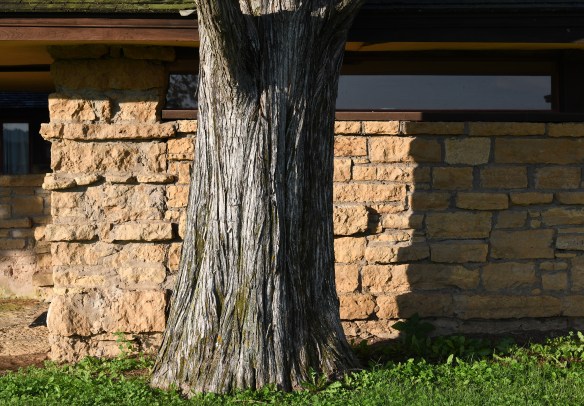 LR Taliesin 8.28.21 015.jpg