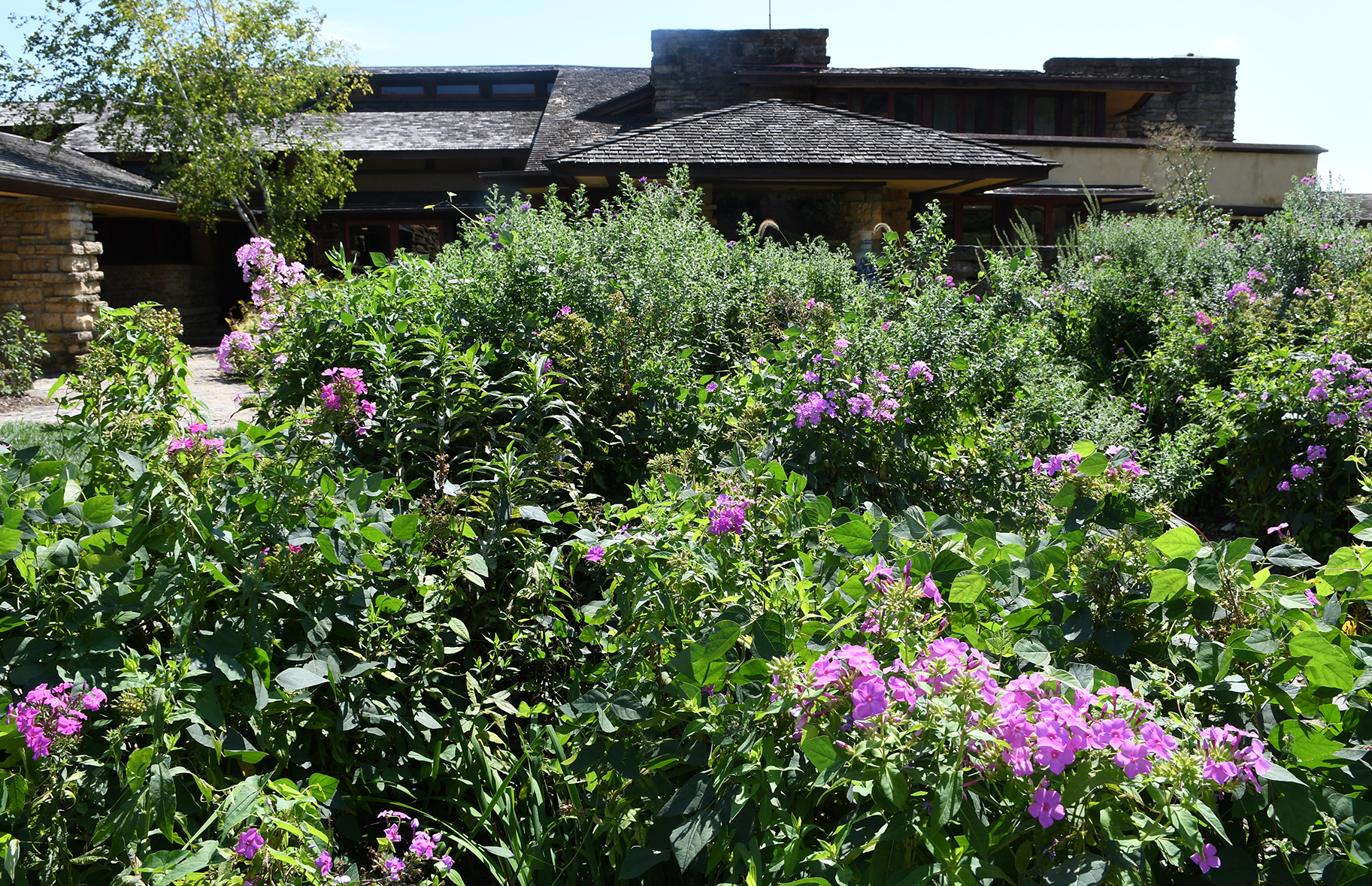 LR Taliesin 8.29.21 018.jpg