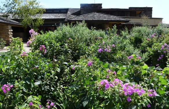 LR Taliesin 8.29.21 018.jpg