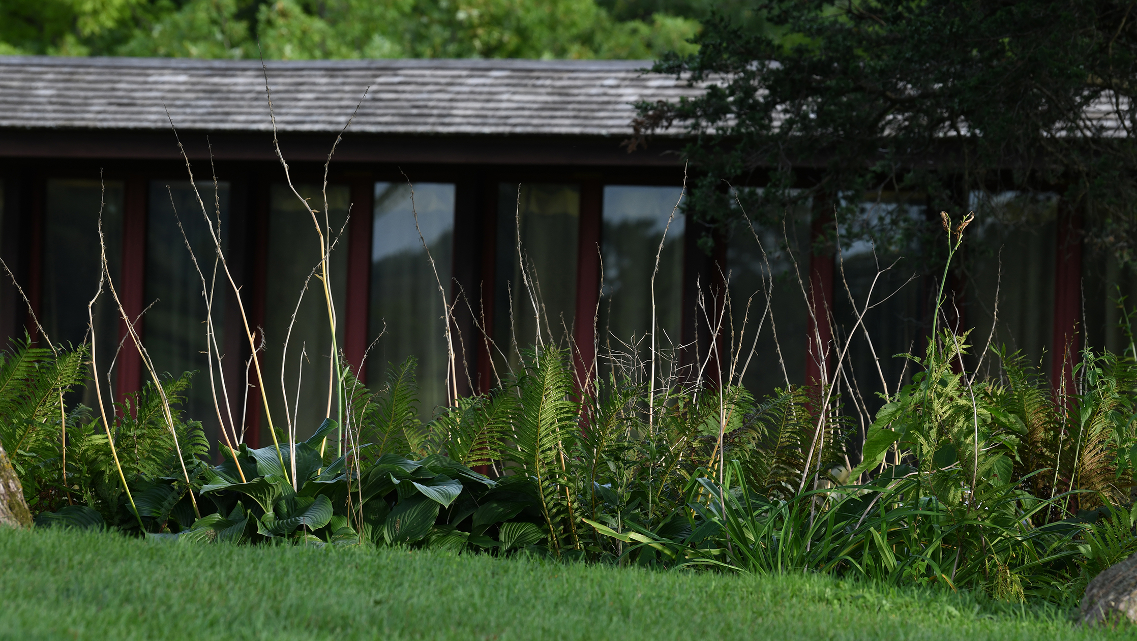 LR Taliesin 8.29.21 028.jpg