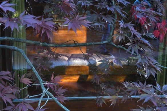 LR Laurent House 10.30.21 086.jpg