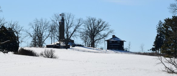 Romeo and Juliet Tan-y-Deri 1.23.22 004.jpg