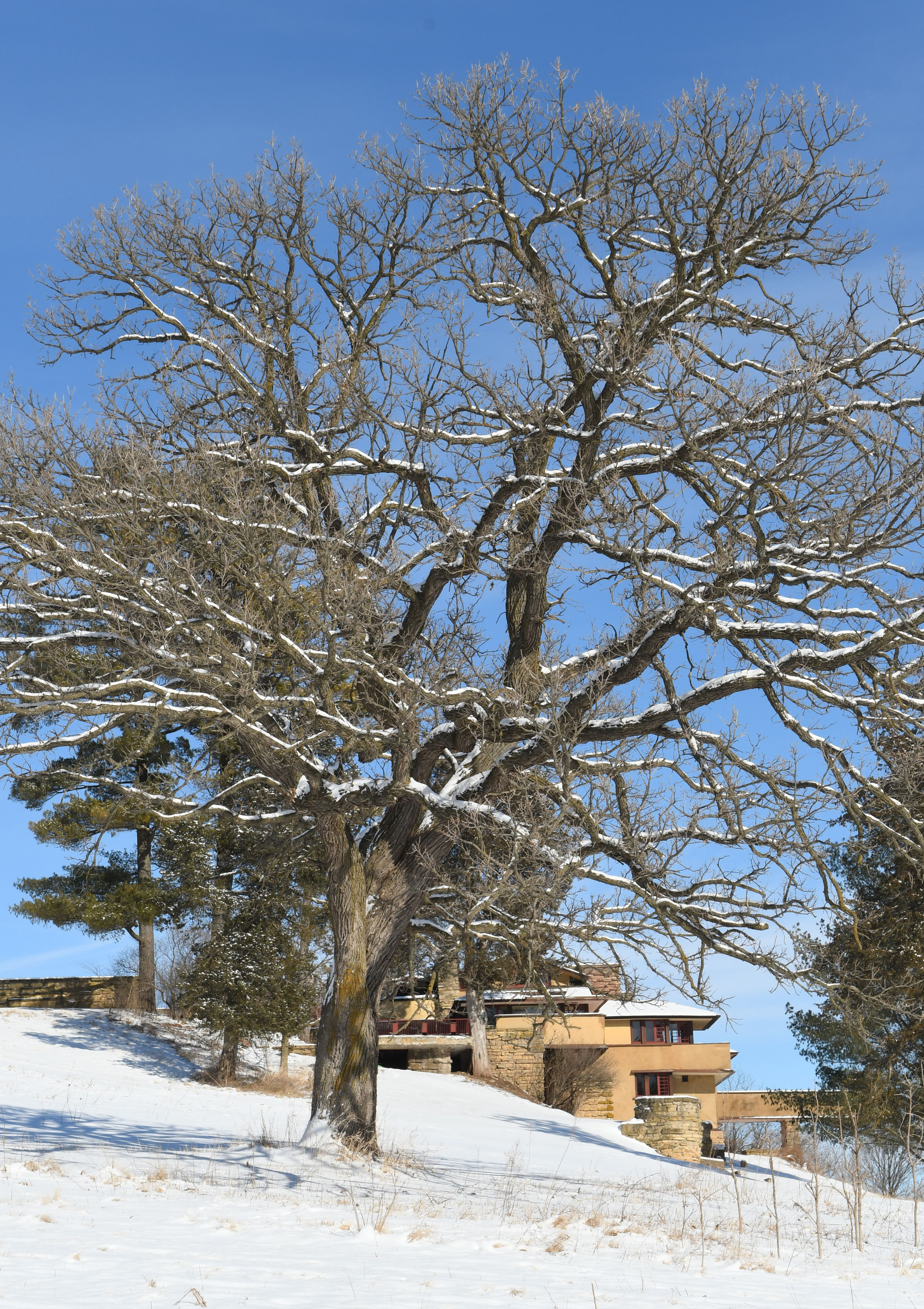 Taliesin 1.23.22 030.jpg