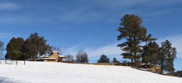 Taliesin 1.23.22 031.jpg