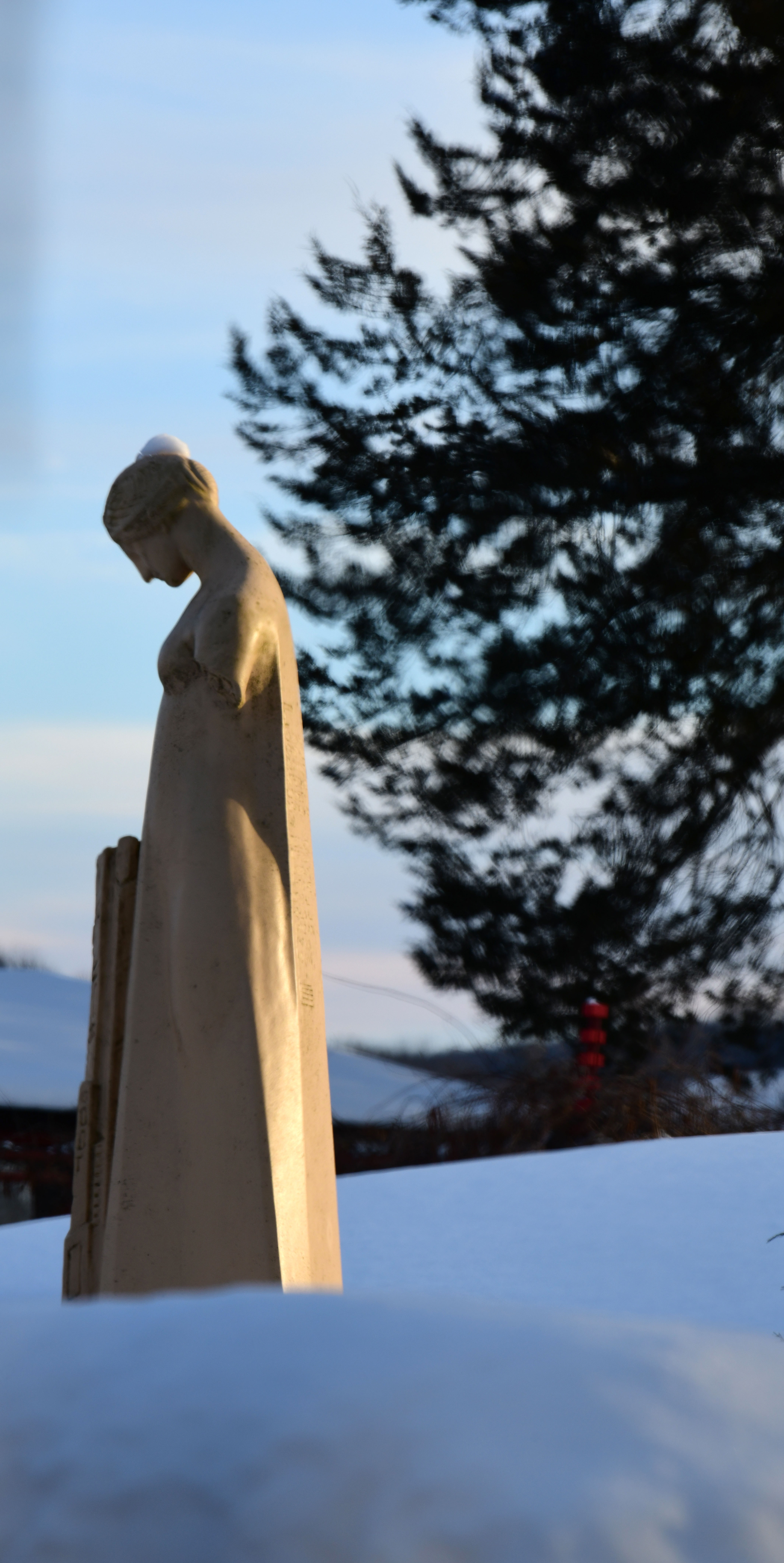 Taliesin 1.23.22 053.jpg