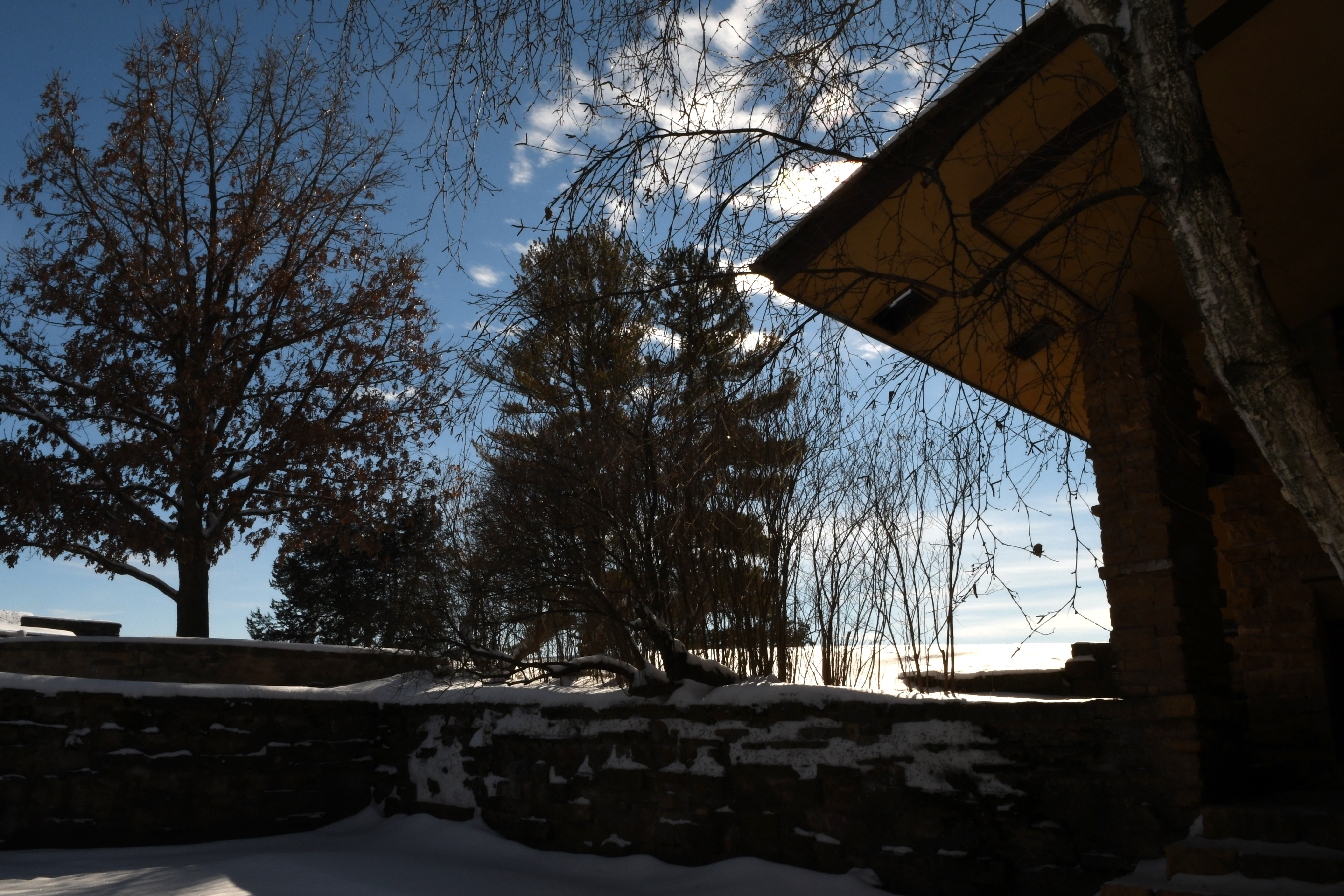 Taliesin 1.23.22 064.jpg