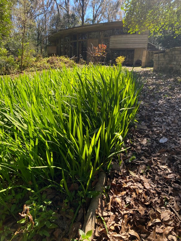 LR Lewis Spring House 026.jpg