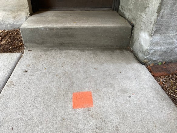 LR Burnham 2022 018.jpg