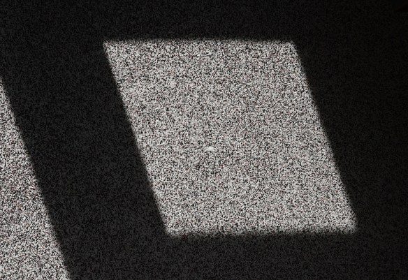 LR Burnham 2022 069.jpg