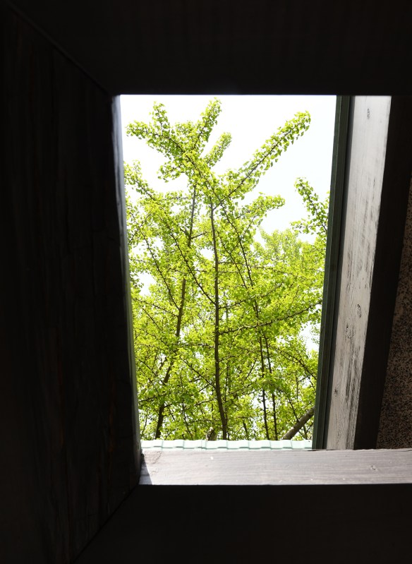 LR Burnham 2022 079.jpg